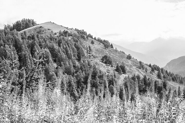 Col de la Couillole, France