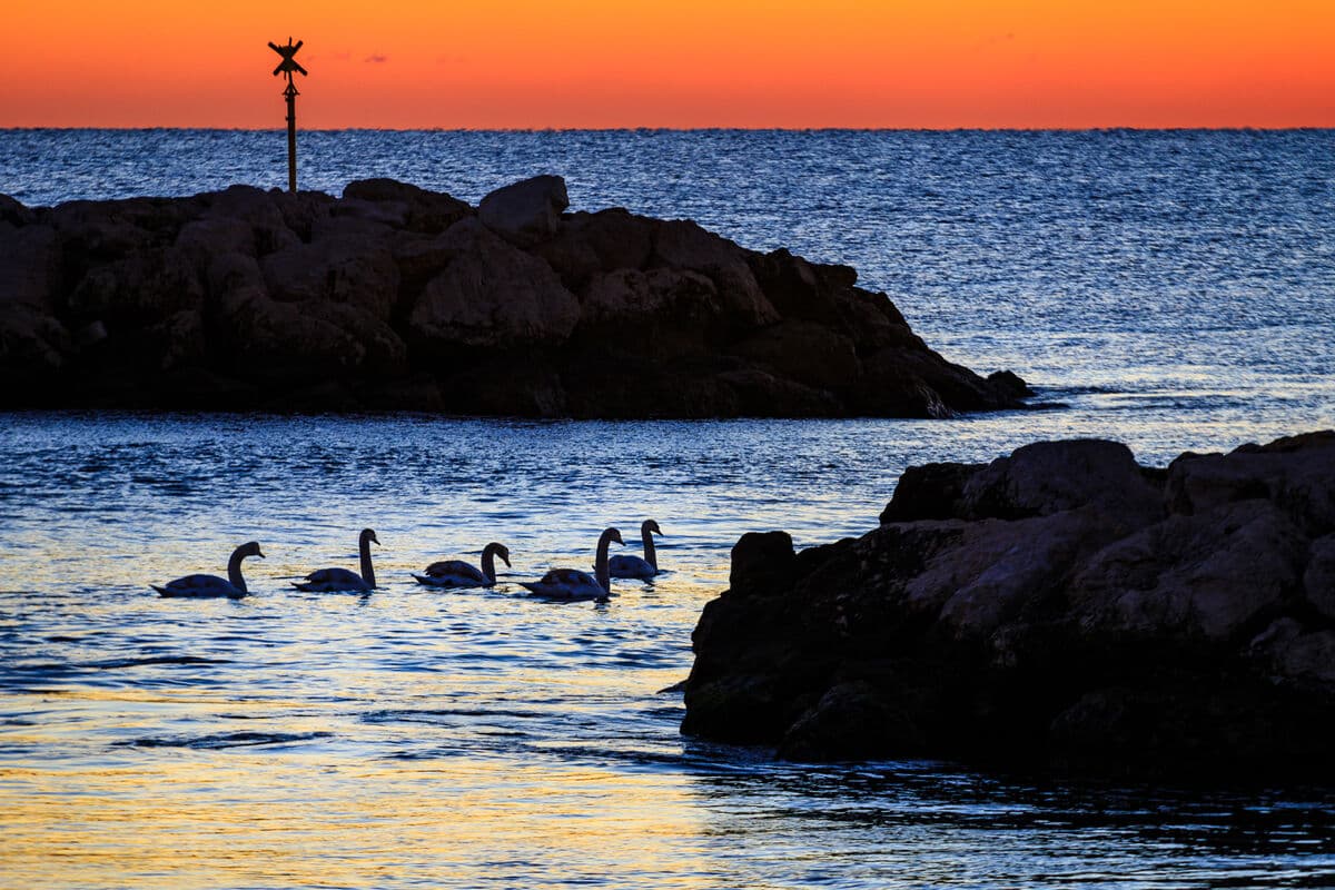 Lever de soleil sur Villeneuve Loubet plage 8673