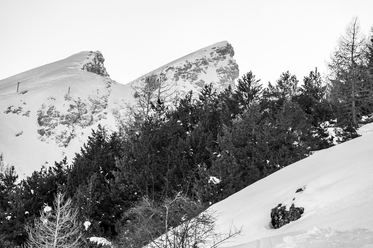 La Foux d'Allos - 9268